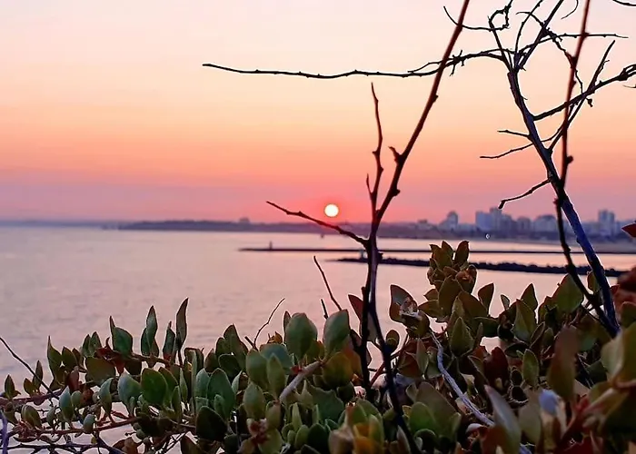 Franckie's By The Beach 公寓